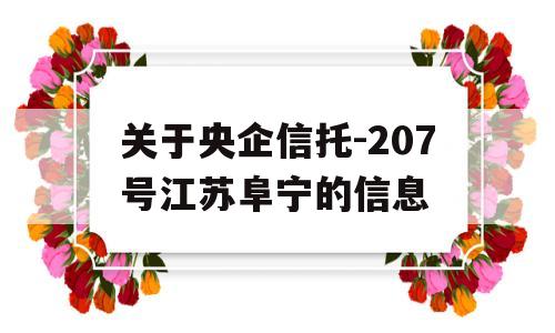 关于央企信托-207号江苏阜宁的信息