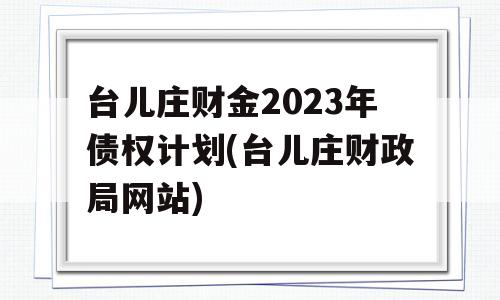 台儿庄财金2023年债权计划(台儿庄财政局网站)