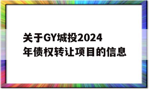 关于GY城投2024年债权转让项目的信息