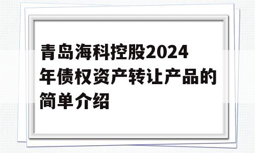 青岛海科控股2024年债权资产转让产品的简单介绍