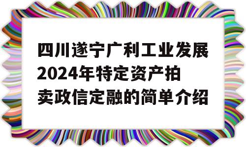 四川遂宁广利工业发展2024年特定资产拍卖政信定融的简单介绍