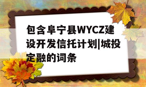 包含阜宁县WYCZ建设开发信托计划|城投定融的词条