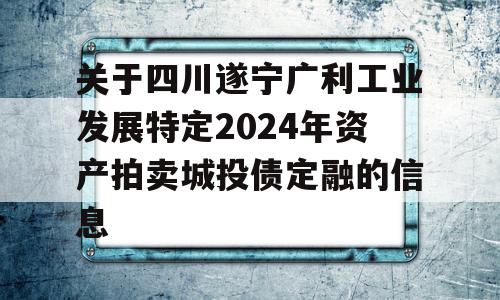 关于四川遂宁广利工业发展特定2024年资产拍卖城投债定融的信息