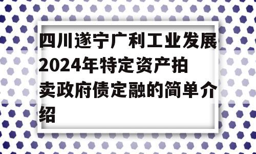 四川遂宁广利工业发展2024年特定资产拍卖政府债定融的简单介绍