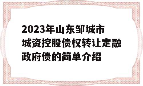 2023年山东邹城市城资控股债权转让定融政府债的简单介绍