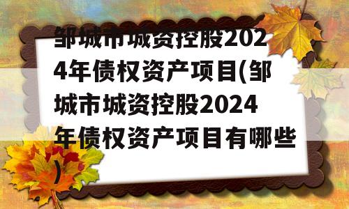 邹城市城资控股2024年债权资产项目(邹城市城资控股2024年债权资产项目有哪些)