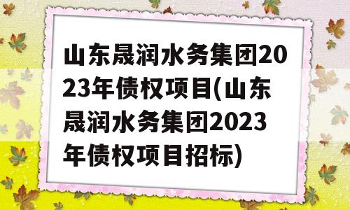 山东晟润水务集团2023年债权项目(山东晟润水务集团2023年债权项目招标)