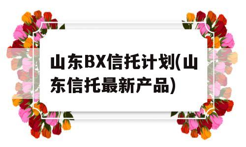 山东BX信托计划(山东信托最新产品)