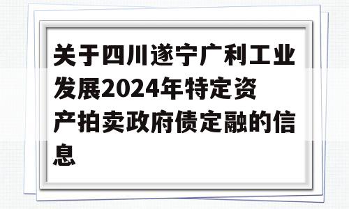 关于四川遂宁广利工业发展2024年特定资产拍卖政府债定融的信息