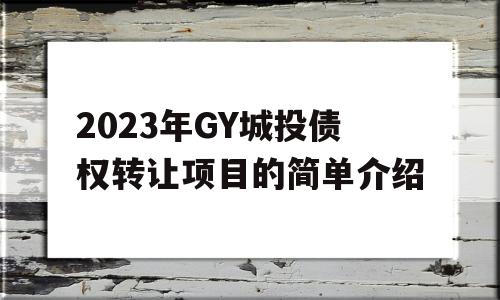 2023年GY城投债权转让项目的简单介绍