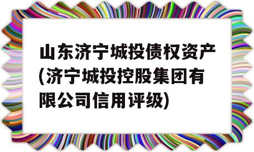 山东济宁城投债权资产(济宁城投控股集团有限公司信用评级)