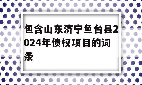 包含山东济宁鱼台县2024年债权项目的词条