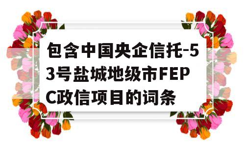 包含中国央企信托-53号盐城地级市FEPC政信项目的词条