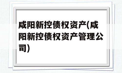 咸阳新控债权资产(咸阳新控债权资产管理公司)