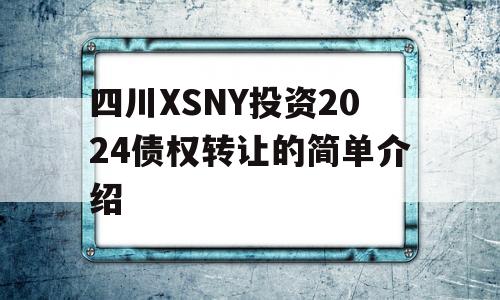 四川XSNY投资2024债权转让的简单介绍