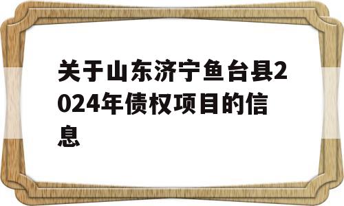 关于山东济宁鱼台县2024年债权项目的信息