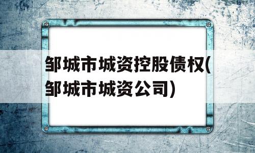 邹城市城资控股债权(邹城市城资公司)