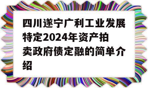 四川遂宁广利工业发展特定2024年资产拍卖政府债定融的简单介绍