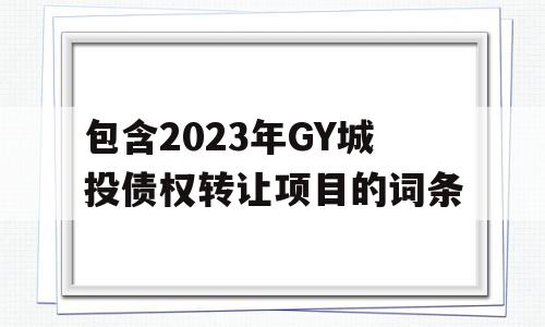 包含2023年GY城投债权转让项目的词条