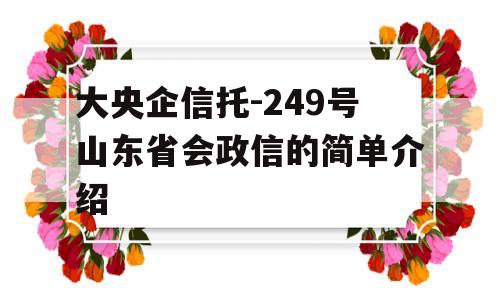 大央企信托-249号山东省会政信的简单介绍