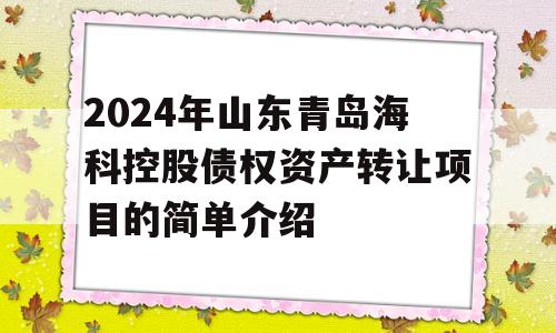 2024年山东青岛海科控股债权资产转让项目的简单介绍