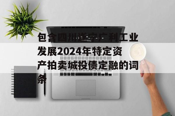 包含四川遂宁广利工业发展2024年特定资产拍卖城投债定融的词条