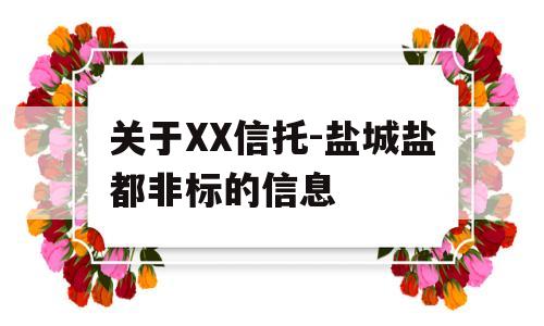 关于XX信托-盐城盐都非标的信息