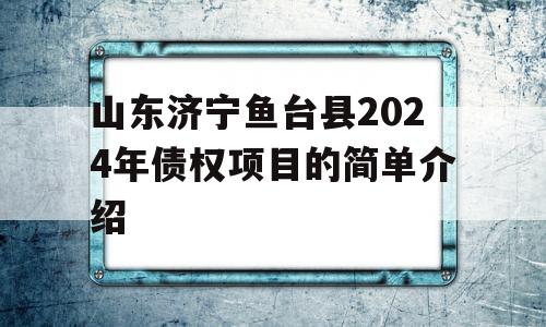 山东济宁鱼台县2024年债权项目的简单介绍