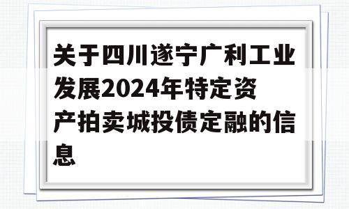 关于四川遂宁广利工业发展2024年特定资产拍卖城投债定融的信息