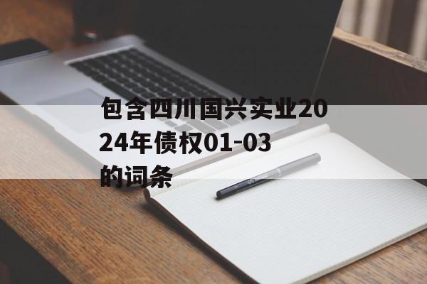 包含四川国兴实业2024年债权01-03的词条