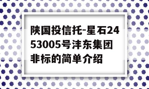 陕国投信托-星石2453005号沣东集团非标的简单介绍