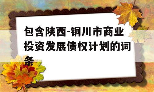 包含陕西-铜川市商业投资发展债权计划的词条