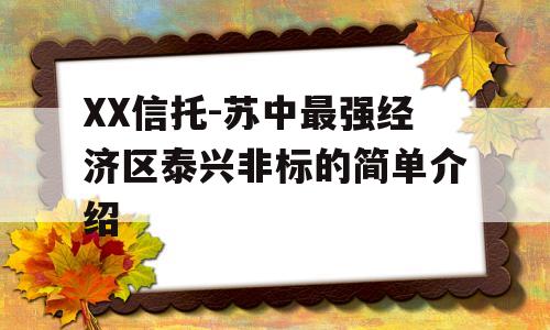 XX信托-苏中最强经济区泰兴非标的简单介绍