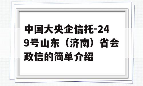 中国大央企信托-249号山东（济南）省会政信的简单介绍