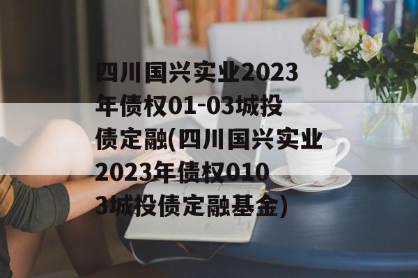 四川国兴实业2023年债权01-03城投债定融(四川国兴实业2023年债权0103城投债定融基金)