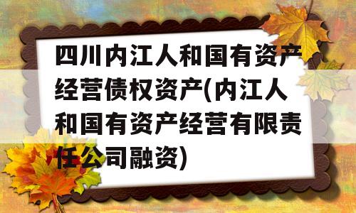 四川内江人和国有资产经营债权资产(内江人和国有资产经营有限责任公司融资)