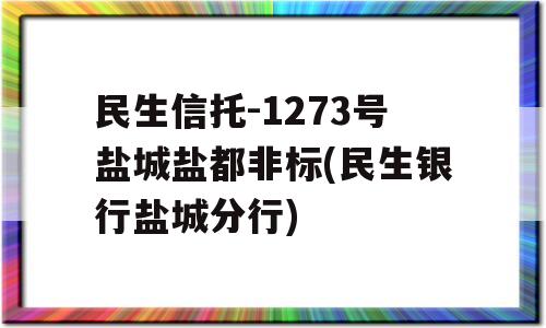 民生信托-1273号盐城盐都非标(民生银行盐城分行)