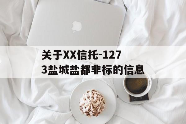 关于XX信托-1273盐城盐都非标的信息