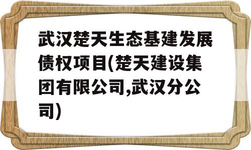 武汉楚天生态基建发展债权项目(楚天建设集团有限公司,武汉分公司)