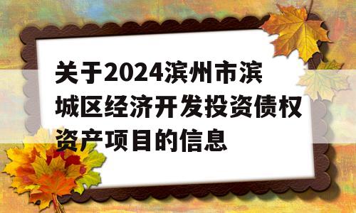 关于2024滨州市滨城区经济开发投资债权资产项目的信息