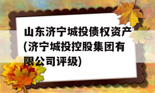 山东济宁城投债权资产(济宁城投控股集团有限公司评级)