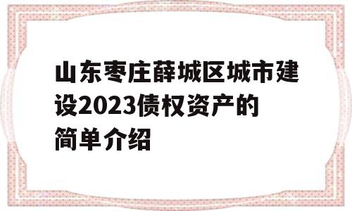 山东枣庄薛城区城市建设2023债权资产的简单介绍