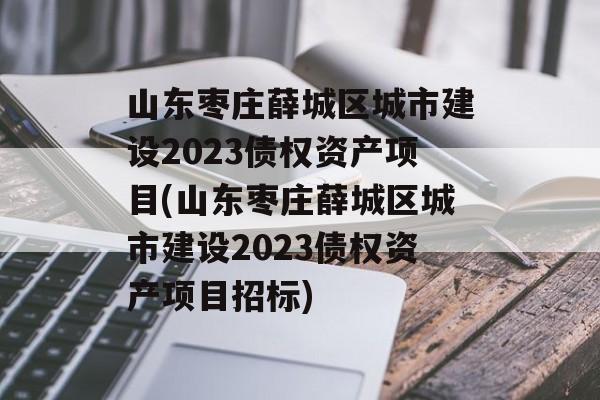 山东枣庄薛城区城市建设2023债权资产项目(山东枣庄薛城区城市建设2023债权资产项目招标)