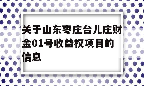 关于山东枣庄台儿庄财金01号收益权项目的信息