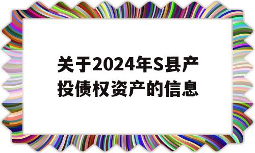 关于2024年S县产投债权资产的信息