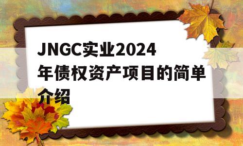 JNGC实业2024年债权资产项目的简单介绍