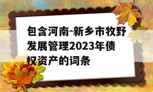 包含河南-新乡市牧野发展管理2023年债权资产的词条