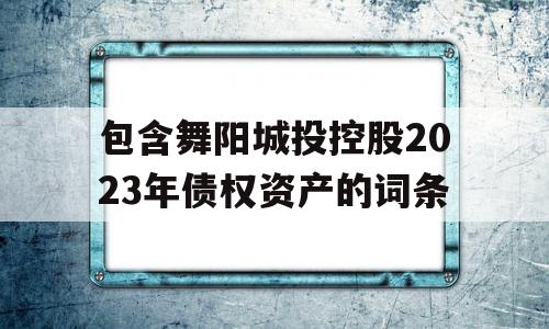 包含舞阳城投控股2023年债权资产的词条