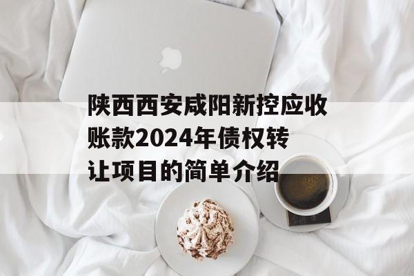 陕西西安咸阳新控应收账款2024年债权转让项目的简单介绍