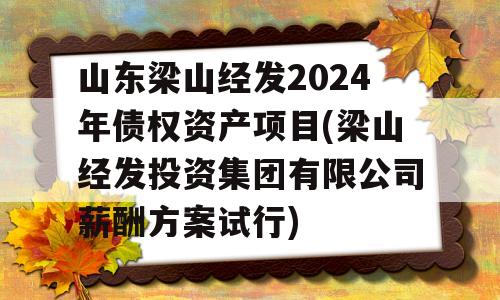 山东梁山经发2024年债权资产项目(梁山经发投资集团有限公司薪酬方案试行)